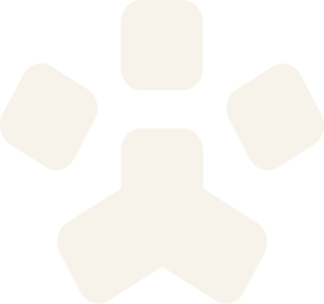 xkty星空宠物，无处不在