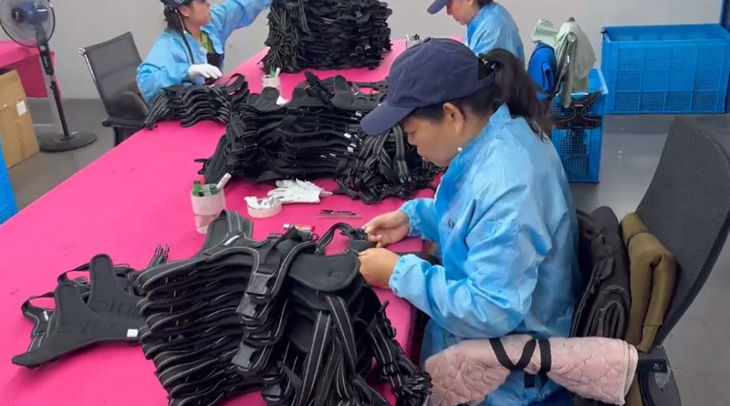 xkty星空宠物，无处不在